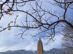 -崇圣寺三塔文化旅游区