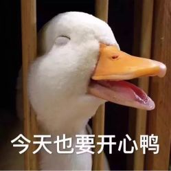 点击看大图 -HQ半永久纹绣纹眉