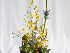 -花到家(富贵鸟花艺行)