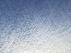 -天鹅湖体育公园