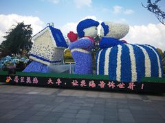 -荷兰花海