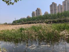-前关湿地公园