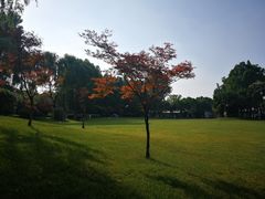 -上海美帆帆船露营基地