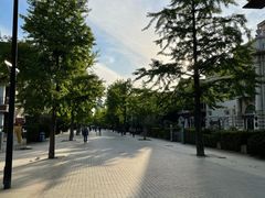-南山酒肆(南山董事绘店)