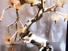 -悦融·京鲁菜·露台花园(安定门店)