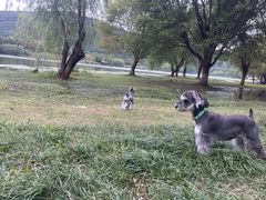 -长广溪湿地公园