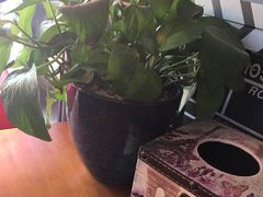 -泰粗卤加热卤味(义全店)