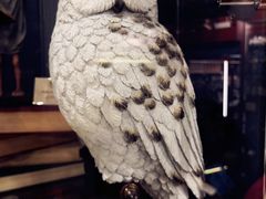 -九又四分之三站台