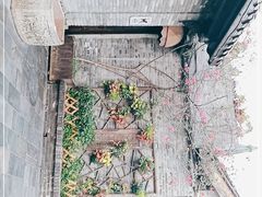 -星巴克臻选(成都宽窄巷子店)