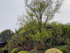 -雅达·阳羡溪山小镇中心