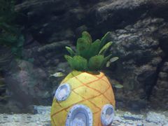 -南昌海洋公园