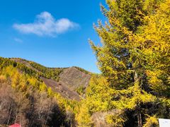 -苏木山森林公园