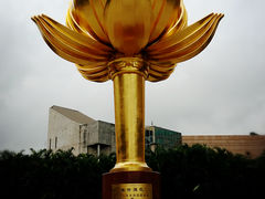 -金莲花广场
