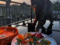 -EATALIA意塔利意式餐厅(鼓楼店)