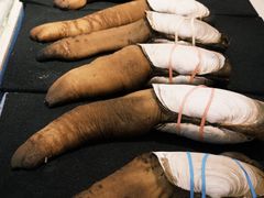 -富黎华海鲜大酒楼(正大广场店)