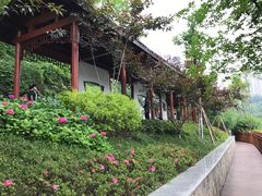 -重庆彩云湖湿地公园