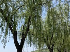 -济南国际园博园