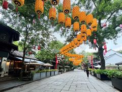 -西溪国家湿地公园