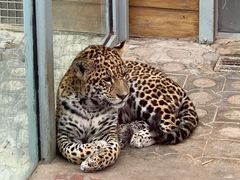 -西霞口神雕山野生动物世界