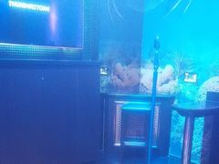 -尚酷麦量贩KTV(金州店)