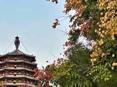 -天宁寺