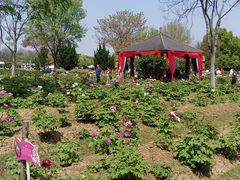 -合肥三国新城遗址公园