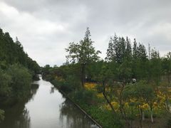 -上海长兴岛郊野公园