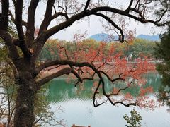 -蒋氏故居