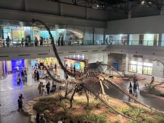 -自贡恐龙博物馆