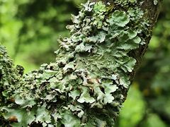 -昆明市金殿名胜区