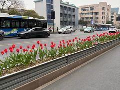 -浙江大学(玉泉校区)