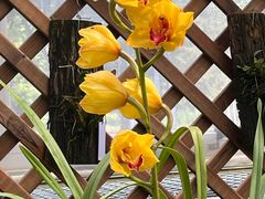 -国家植物园南园