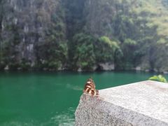 -乌江画廊(彭水苗族土家族自治县)