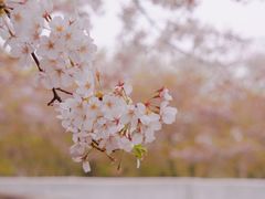 -龙美术馆(西岸馆)