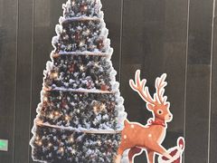 -深圳湾万象城(南山店)