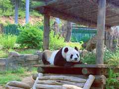 -大连森林动物园