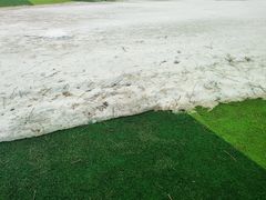 -黑龙江中医药大学