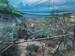 -九龙公园