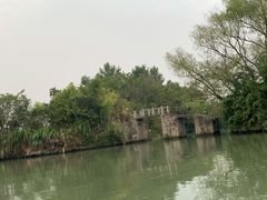 -西溪国家湿地公园