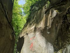 -黑河国家森林公园