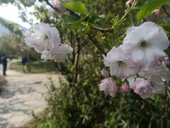 -南溪山景区