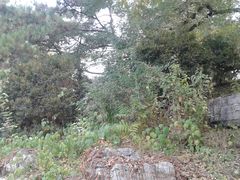 -紫竹院公园冰场