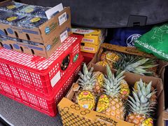 -西郊国际农产品交易中心