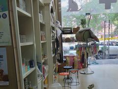 -米苏动物医院·犬猫专科·骨科外科内窥镜