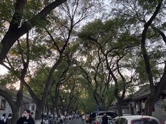 -北京国子监胡同