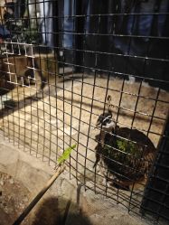 -酷嗒动物文化乐园(cutezoo西溪乐天城店)