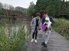 -溱湖国家湿地公园