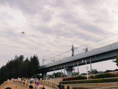 -宝安西湾红树林湿地公园