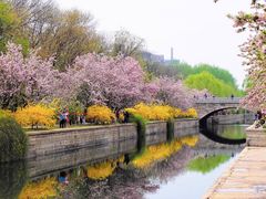 -元大都城垣遗址公园