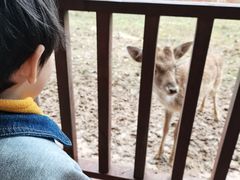 -西安秦岭野生动物园